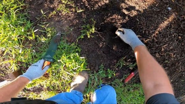 Detecting With Nokta Makro Legend With Company!!! Part 1