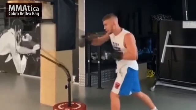 Cobra Reflex Bag MMAtica - напольная боксерская груша для дома и зала смотреть онлайн