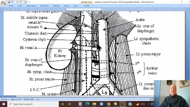 Anatomy GIT Module in English ( Abdominal Aorta) , by Dr, Wahdan смотреть онлайн