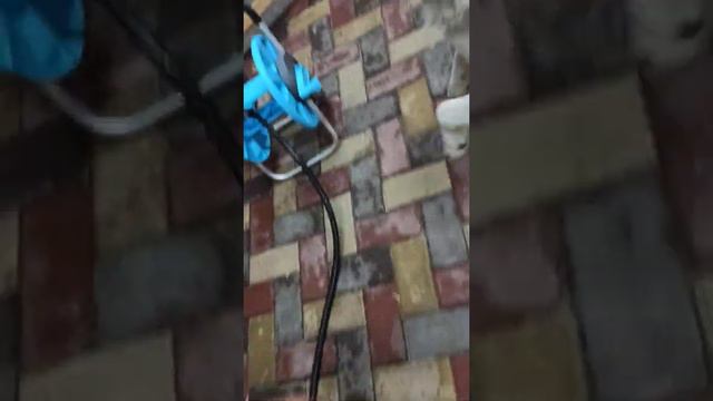 Индюшка в шапке ! Краснодар ! смотреть онлайн