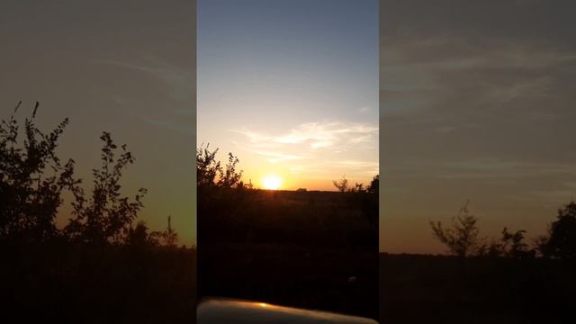 Полезные Советы смотреть онлайн