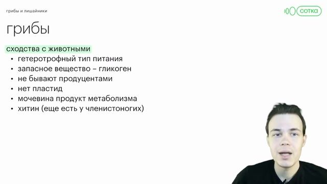 Сходство грибов с растениями и животными | Онлайн-школа СОТКА смотреть онлайн