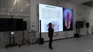 Берилл и его драгоценные разновидности. Григорий Савостин
