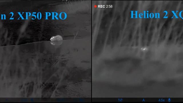 Pulsar Helion 2 XP50 PRO Vs Pulsar Helion 2 XQ50F - охота на бобров.