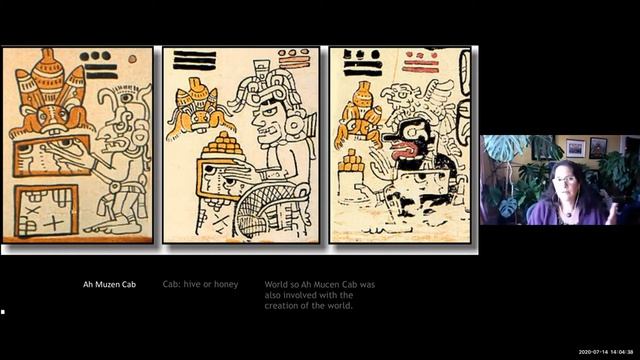 Melipona Bee of the Yucatan смотреть онлайн