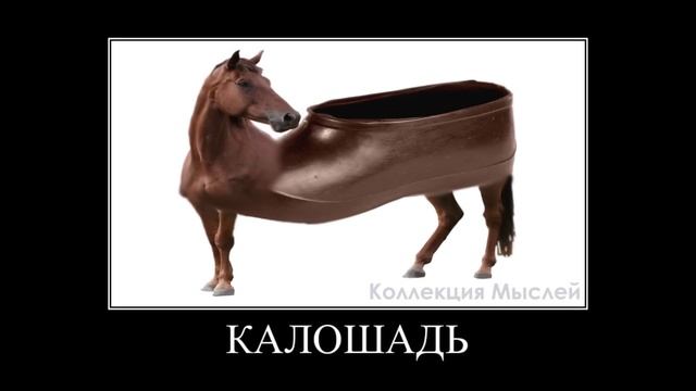 Животные + ШИЗА = смотреть онлайн