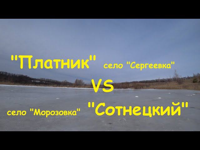 Платник и Сотнецкий. Карп напал на камеру и стая окуня.