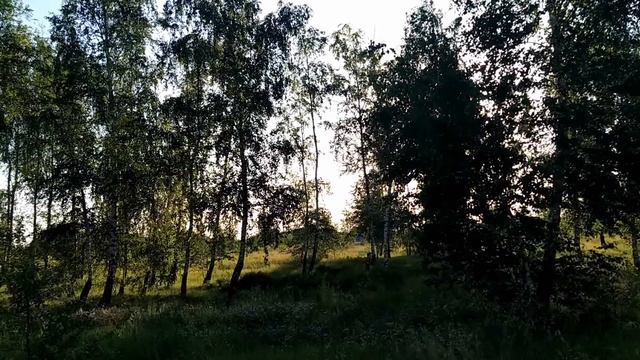 14 июня-УСТИНОВ ДЕНЬ.Чтобы любимый человек прожил с тобой всю жизнь.Что делать? смотреть онлайн