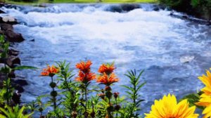 Агым су юлын таба. Ризван Хакимов