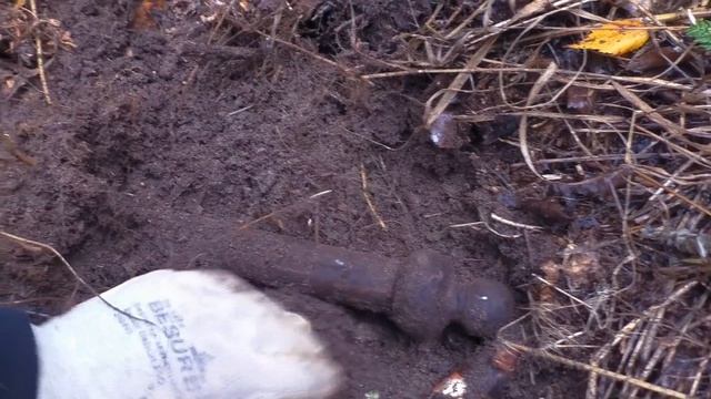 Старая усадьба в лесу. Заброшенные места. смотреть онлайн