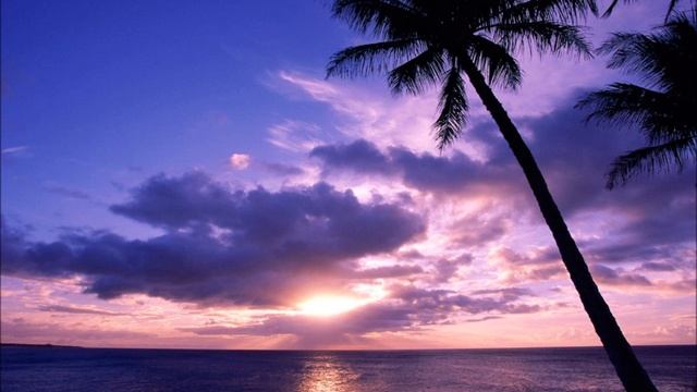 Quest - Paradise Found [Full/HD] смотреть онлайн