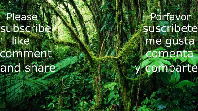 Sonidos De La Naturaleza (8D)🎧 REAL | Musica Relajante Especial Para Meditar, Dormir