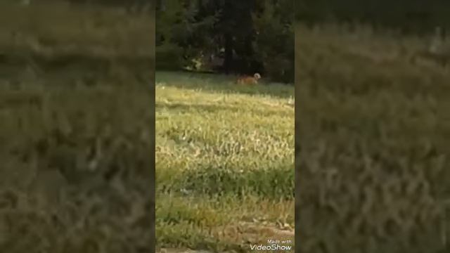 Чем это они занимаются? смотреть онлайн