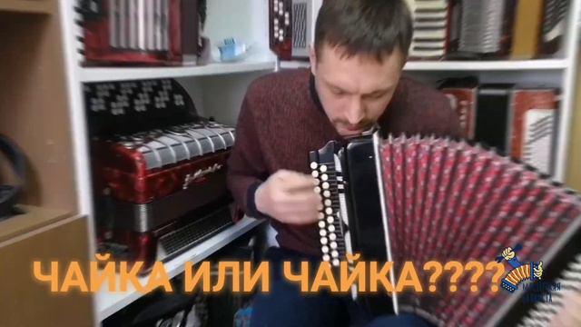 Чайка или Чайка????! 50 лет разницы?!!!мастерскаябаяниста89031079129 смотреть онлайн