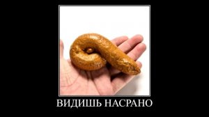 дима зачем нужен ершик?