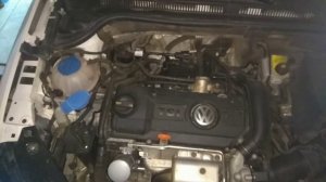 Джетта 6: запуск двигателя, на холодную и треск цепи CAXA 1.4 tsi