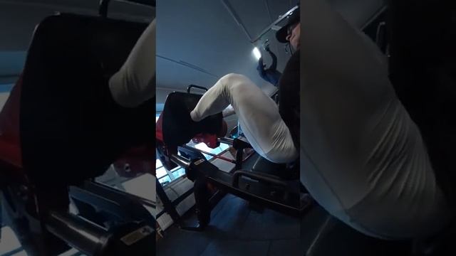 Тренировка квадрицепса смотреть онлайн