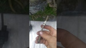 Мигает индикатор переднего моста. Mitsubishi L200.  Одна из причин