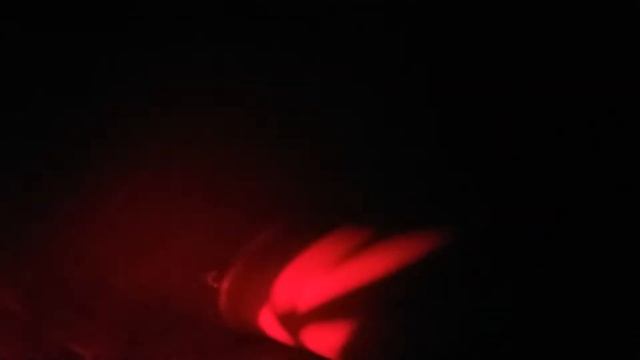 Просмотр яиц на овоскопе 13 день