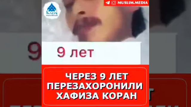 ЧЕРЕЗ 9 ЛЕТ ПЕРЕЗАХОРОНИЛИ ХАФИЗА КОРАН смотреть онлайн