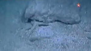 Улика из прошлого-Ноев ковчег