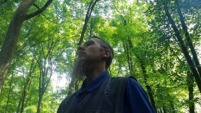 Пасхальные часы во французском лесу. 08.06.21 смотреть онлайн