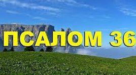 ✞Псалом 36✞Псалом Давиду. СЛУШАТЬ✞