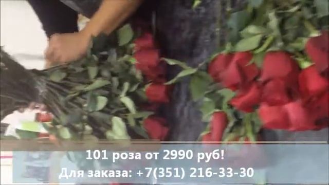 101 роза. Купить 101 розу. Букет 101 роза смотреть онлайн