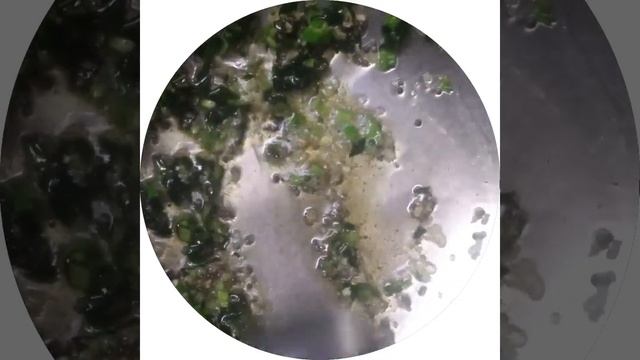 samba wheat rava idly смотреть онлайн