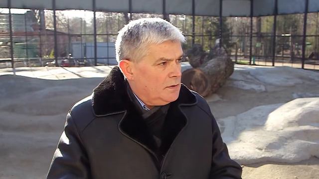 Новый медвежатник по стандартам смотреть онлайн