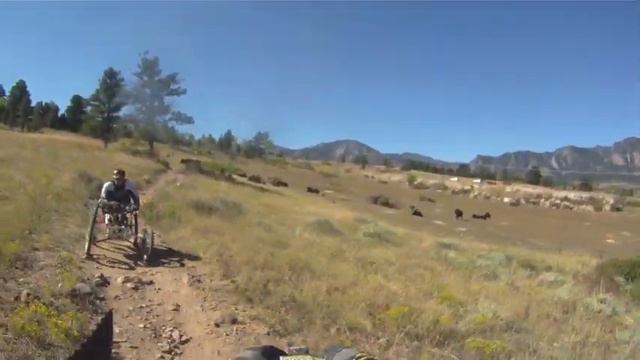 Coal Seam Trail.mov смотреть онлайн