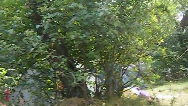 артполе 2012 смотреть онлайн