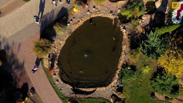 Экопарк Фельдмана с высоты | Бал хризантем 2020 смотреть онлайн