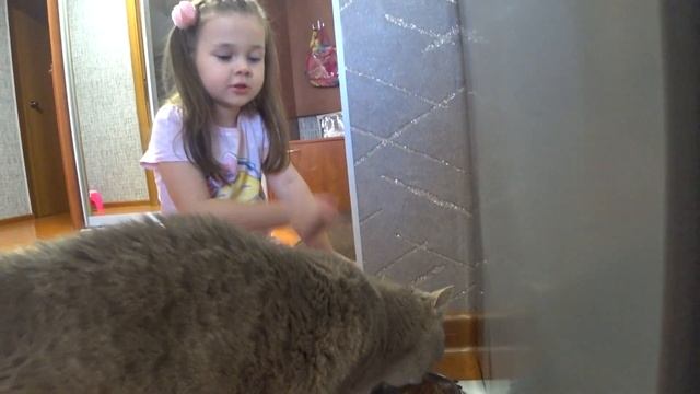 Моя кошка Сьюзи первый раз на улице ИГРАЕМ с лазером дома Nastya life VLOG [4k UHD] 0+ смотреть онлайн