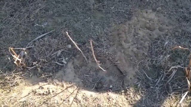 Январь Жара Можно Загорать В Баку смотреть онлайн