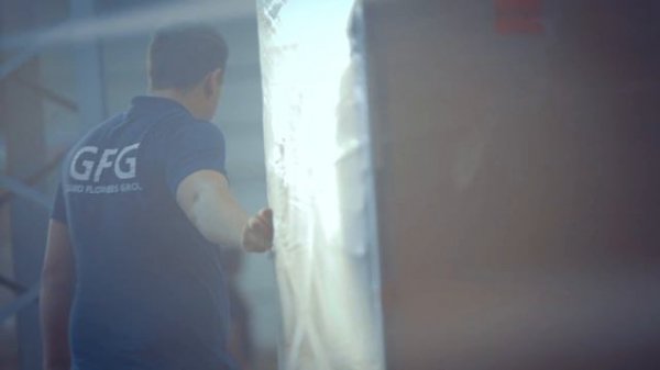 GRAND FLOWERS GROUP | ЦВЕТЫ ОПТОМ