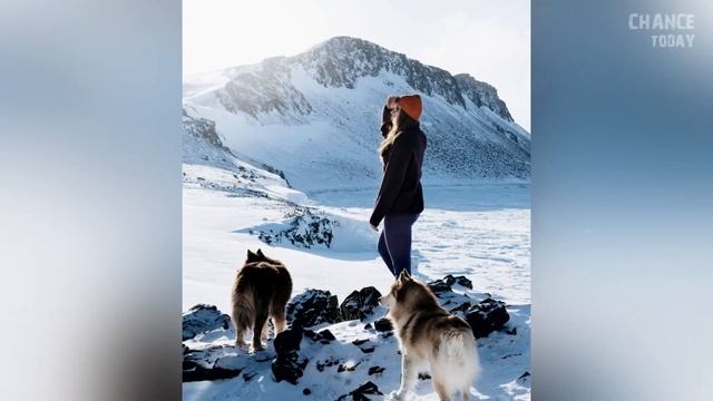 Кролик решил поцеловать снеговика и только потом раскрылся его настоящий план смотреть онлайн