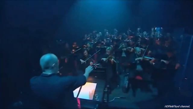 Дэвид Гилмор - старый, но не бесполезный! смотреть онлайн
