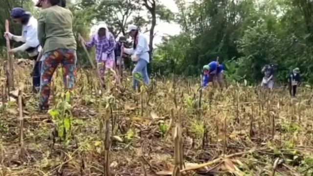 Life on a Farm - Planting Crops Season | WeBareCare смотреть онлайн