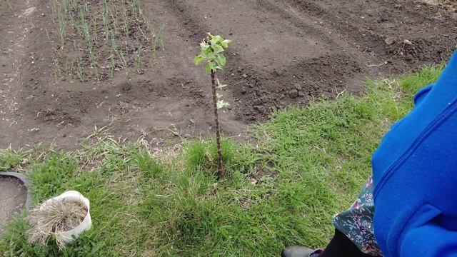 К любимой тёще в Мраково! смотреть онлайн