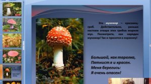 Почему их так назвали (4 Класс)