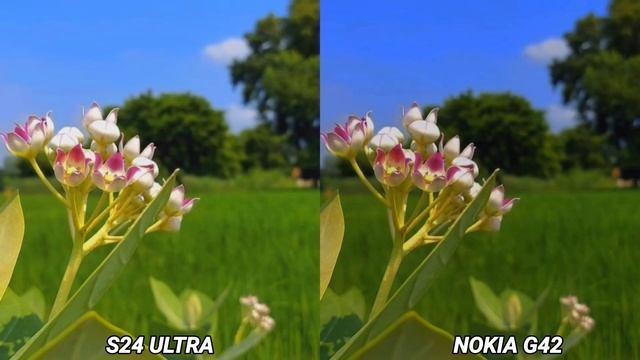 Samsung Galaxy S24 Ultra VS Nokia G42 Camera test смотреть онлайн