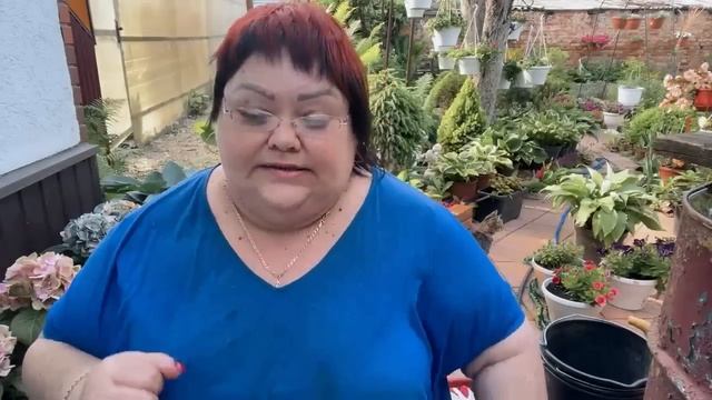 МОИ УДОБРЕНИЯ ДЛЯ САДА