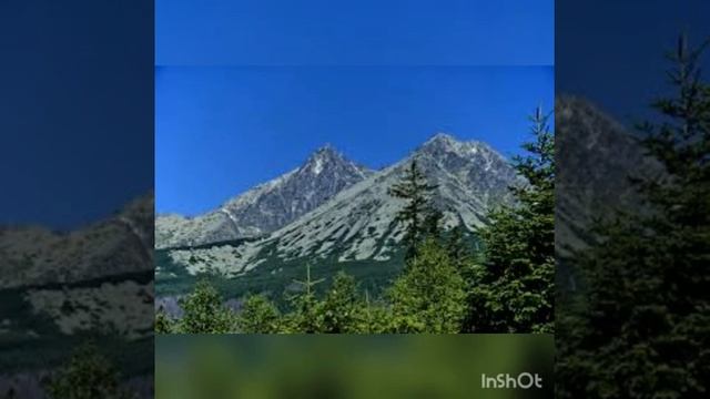 Физическое развитие. Упражнения с элементами детской йоги. смотреть онлайн