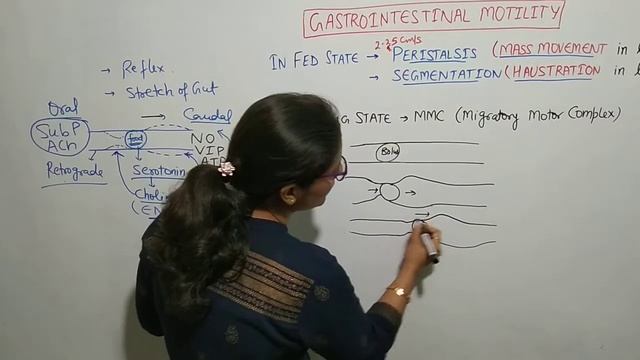 PERISTALSIS смотреть онлайн