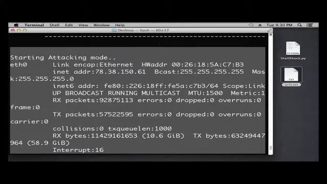 scanning & exploiting shellshock vulnerability through a python script ! смотреть онлайн