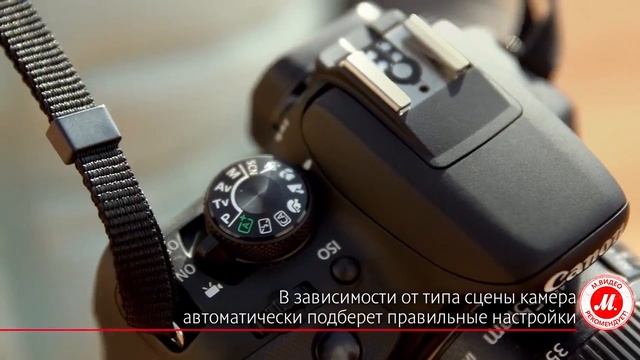 Зеркальный фотоаппарат Canon EOS 100 смотреть онлайн
