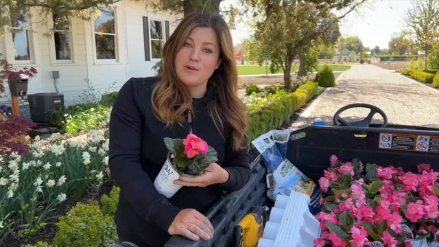Planting Begonias & Impatiens! ??? // Garden Answer смотреть онлайн