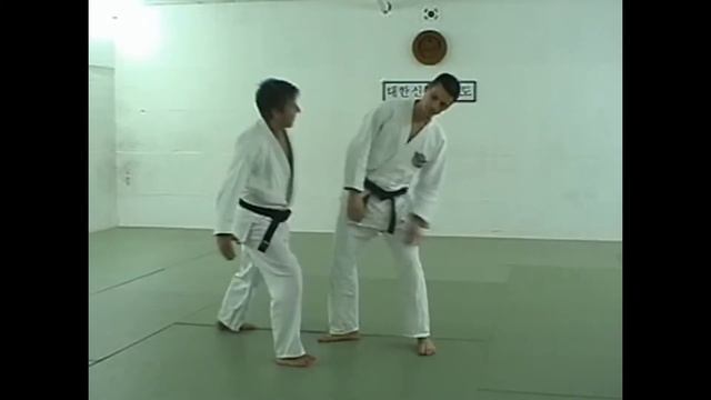 Sin Moo Hapkido Technique Training Program