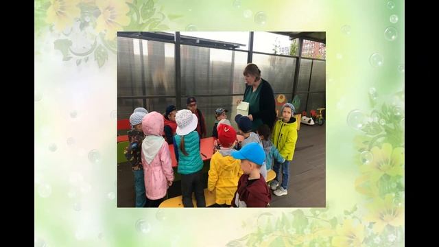 Неделя насекомых в ОП "Далматинец" смотреть онлайн